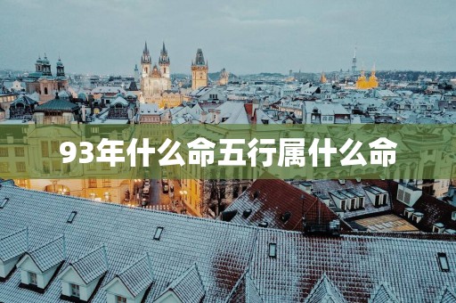 93年什么命五行属什么命