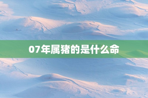 07年属猪的是什么命