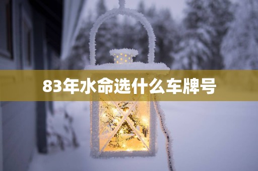83年水命选什么车牌号