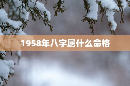 1958年八字属什么命格