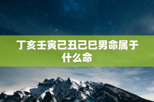 丁亥壬寅己丑己巳男命属于什么命