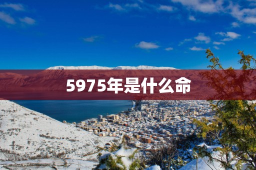 5975年是什么命