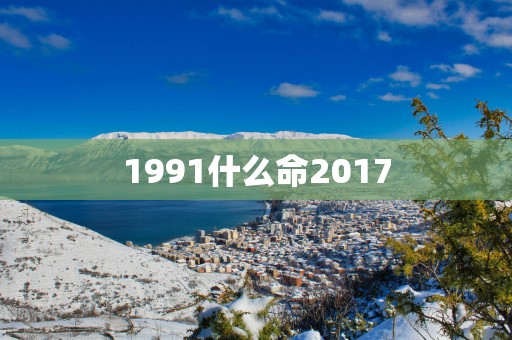 1991什么命2017