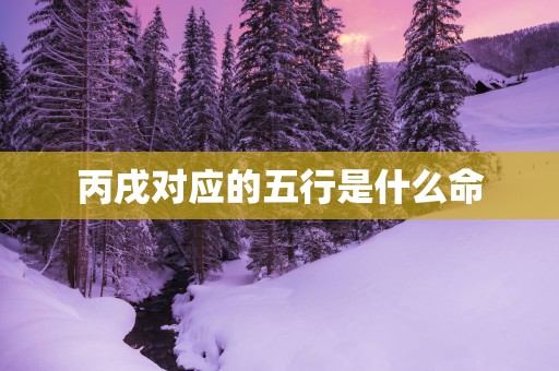 丙戌对应的五行是什么命