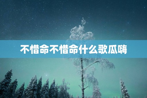 不惜命不惜命什么歌瓜嗨