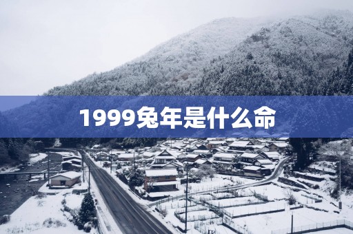 1999蛇年是什么命
