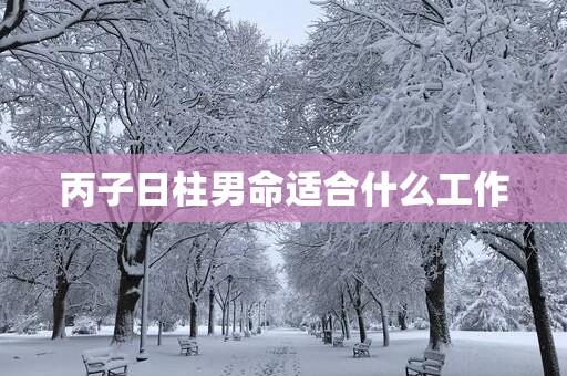丙子日柱男命适合什么工作