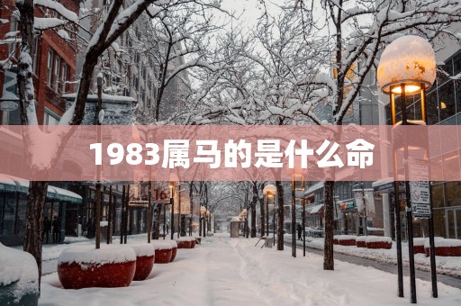 1983属马的是什么命