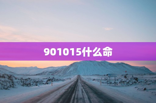 901015什么命