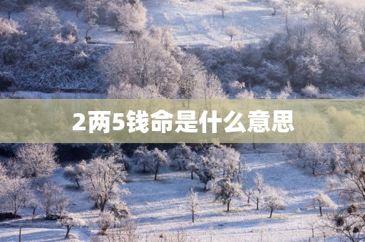 2两5钱命是什么意思
