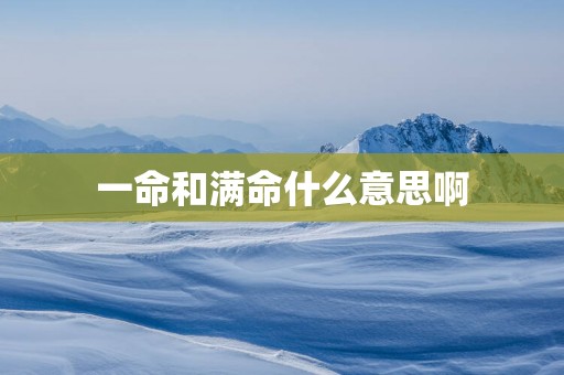 一命和满命什么意思啊