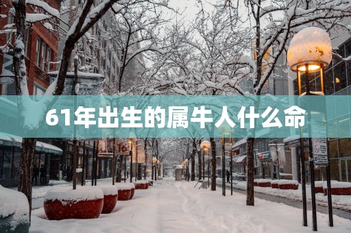 61年出生的属牛人什么命