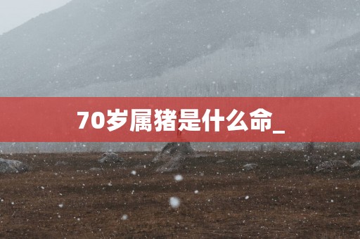 70岁属猪是什么命_