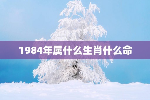 1984年属什么生肖什么命