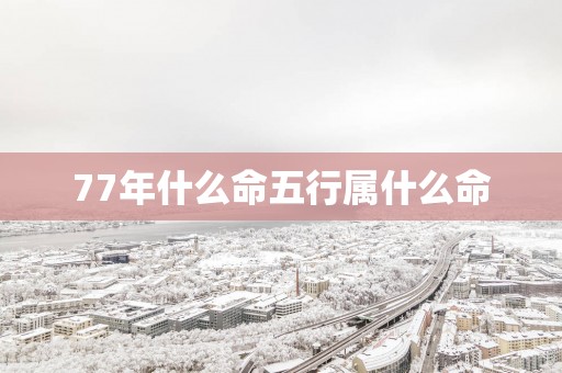 77年什么命五行属什么命