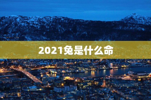 2025兔是什么命