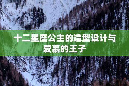 十二星座公主的造型设计与爱慕的王子