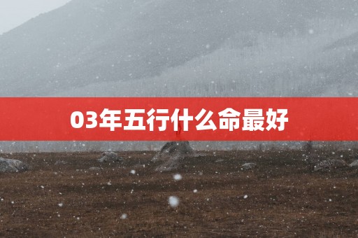 03年五行什么命最好