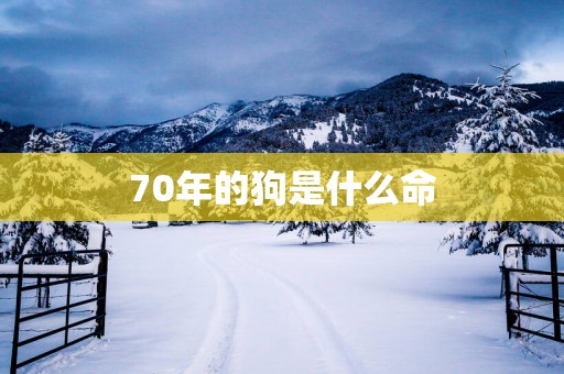 70年的狗是什么命