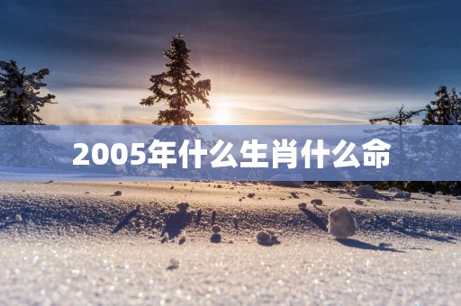 2005年什么生肖什么命