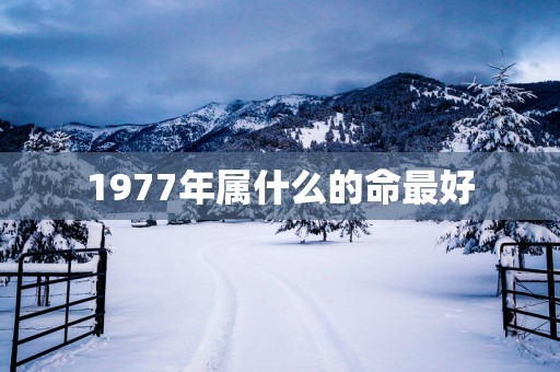 1977年属什么的命最好