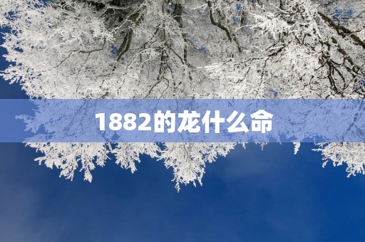 1882的龙什么命