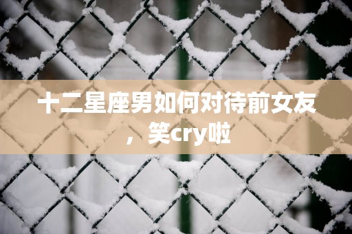 十二星座男如何对待前女友，笑cry啦
