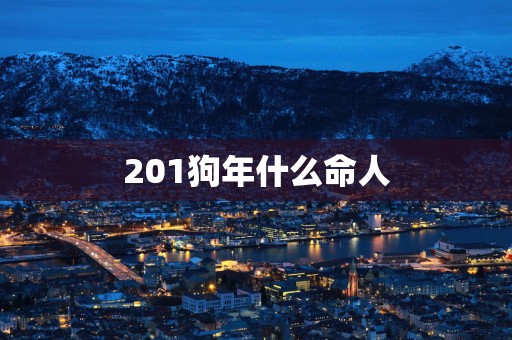 201狗年什么命人
