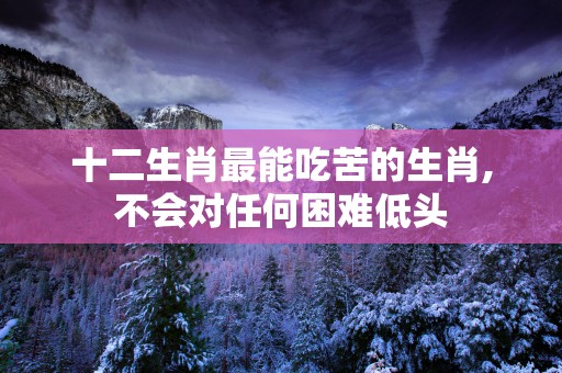 十二生肖最能吃苦的生肖,不会对任何困难低头