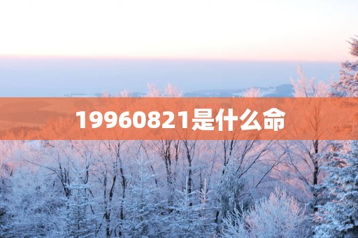 19960821是什么命