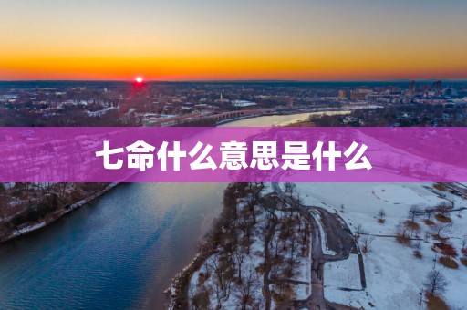 七命什么意思是什么