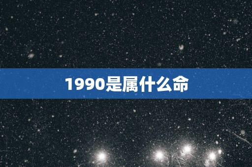 1990是属什么命