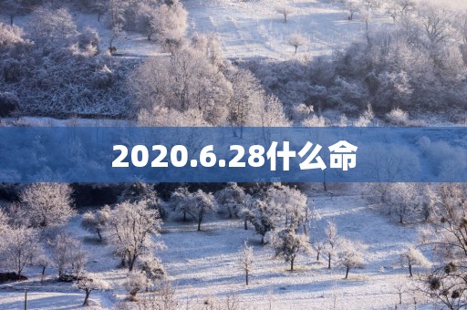 2025.6.28什么命