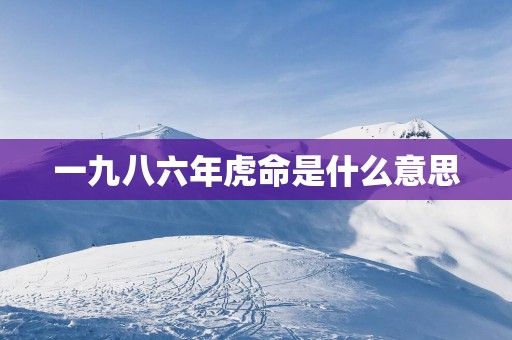 一九八六年虎命是什么意思
