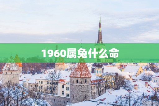 1960属兔什么命