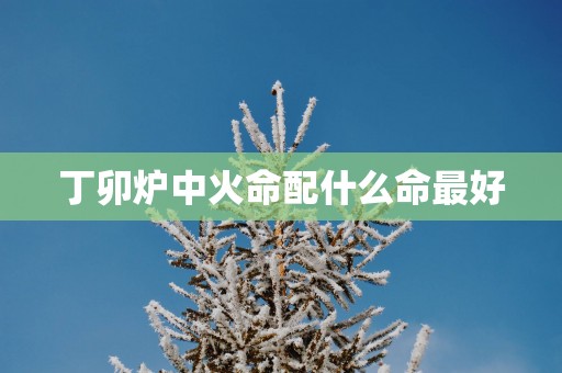 丁卯炉中火命配什么命最好