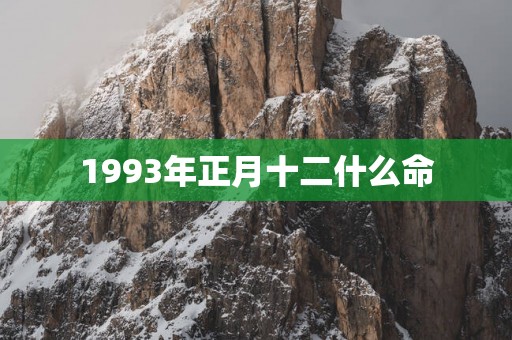 1993年正月十二什么命