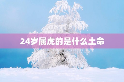 24岁属虎的是什么土命