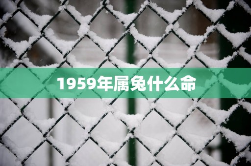 1959年属兔什么命