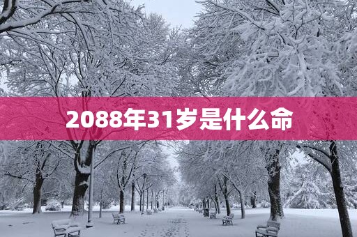 2088年31岁是什么命
