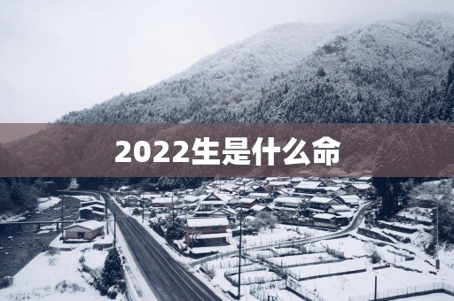 2025生是什么命