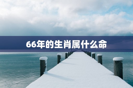 66年的生肖属什么命
