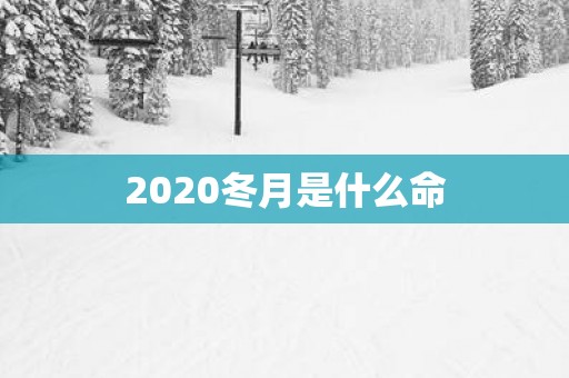 2025冬月是什么命