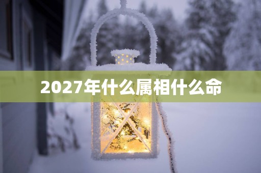 2027年什么属相什么命