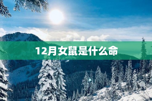 12月女鼠是什么命