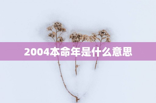 2004本命年是什么意思