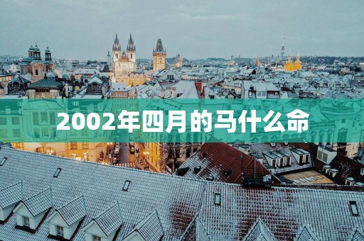 2002年四月的马什么命