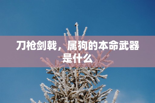 刀枪剑戟，属狗的本命武器是什么