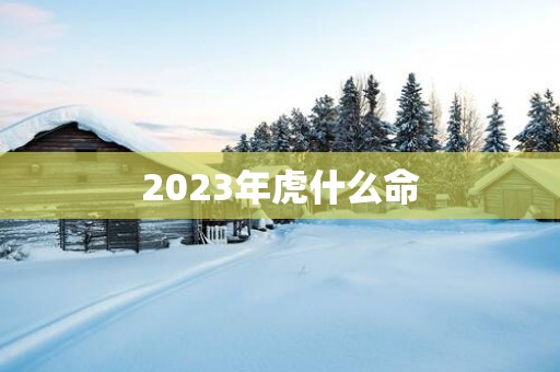 2025年虎什么命