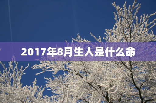 2017年8月生人是什么命